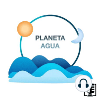 Proyecto de Rescate de Lobos Marinos en México | Planeta Agua #03