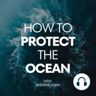 How to protect the ocean by answering comments that disagree with your content