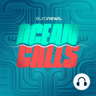 Ocean Calls returns soon