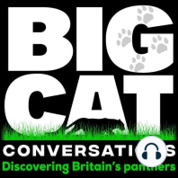 BCC EP:01  Two panthers together, two pumas together