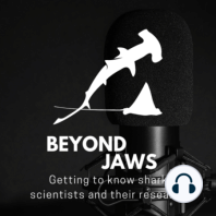 Shark science through history, performance art, travel, and research
