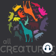 Episode 320:The Creative Lives of Animals w/Carol Gigliotti