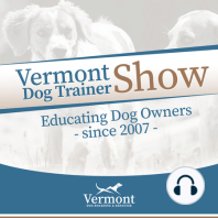 Rewarding Expected Behaviors - Talking Dogs Radio Show