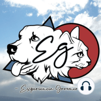 Episodio N°2 | Vírgenes en la Peluquería canina