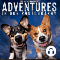 Episode 14 - Adventures with Doug and Emmie