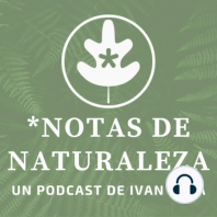 Notas breves de Naturaleza #10