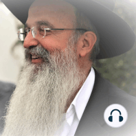 Ciencia vs Tora - Rabino Shlomo Levy