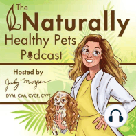 The Naturally Healthy Pets Podcast with Dr. Judy Morgan Pilot
