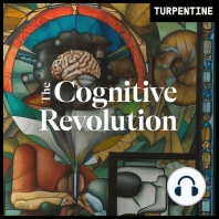E2: Why AI Will Cause a Cognitive Revolution with Nathan Labenz and Erik Torenberg