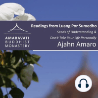 12 – Dhamma is not an Ideal (Continued)