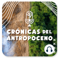 S2 Ep14: TRANSPORTE EN EL ANTROPOCENO