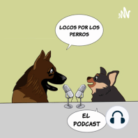 Conductismo canino, hábitos, alimentación y más con Lu Serrano.
