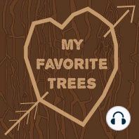 Ep. 25-The Spice Trees 2 (The Spice Islands)