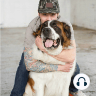 e001 The Introduction of the No Bad Dogs Podcast- Tom Davis
