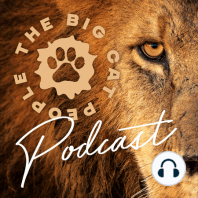 EPISODE 06: Becoming the Big Cat People – 'Painted Wolves and The Great Migration'