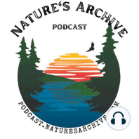 #67: Ancient Birds and Modern Migrations - Sandhill and Whooping Cranes with Bethany Ostrom