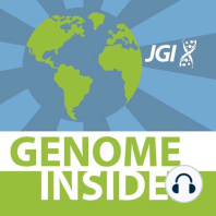 JGIota: A Biofuel Breakthrough in Anaerobic Fungi with Michelle O'Malley and Tom Lankiewicz