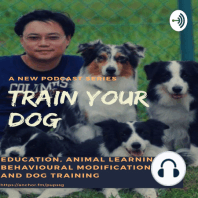 DTS010 Train Your Dog Podcast - Puppy Training is All About Making Choices