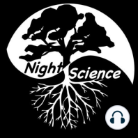 Alfred Russel Wallace and night science by candlelight