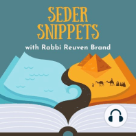 The World of Shabbos with Rabbi Reuven Brand