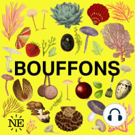 #78 - Mettons du cœur dans les épinards