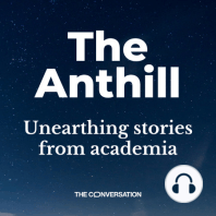 Anthill 11: waste not, want not