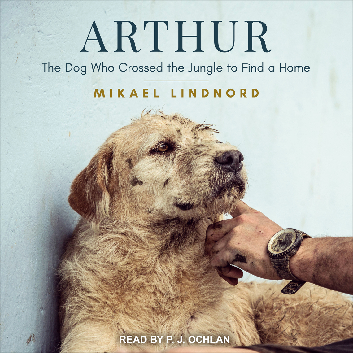 Arthur by Mikael Lindnord (Audiobook) Read free for 30 days