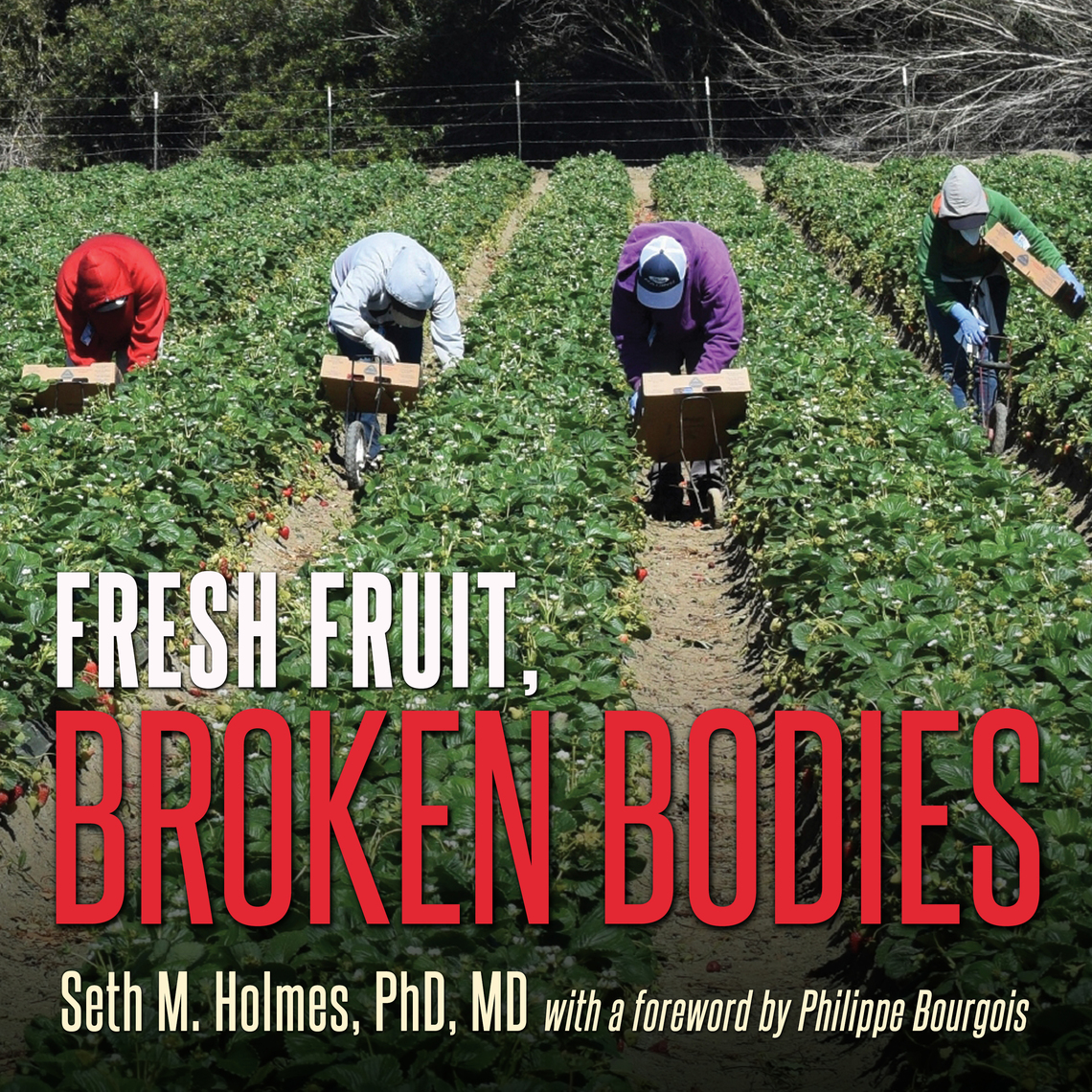 Fresh Fruit, Broken Bodies by Seth Holmes (Audiobook) Read free for