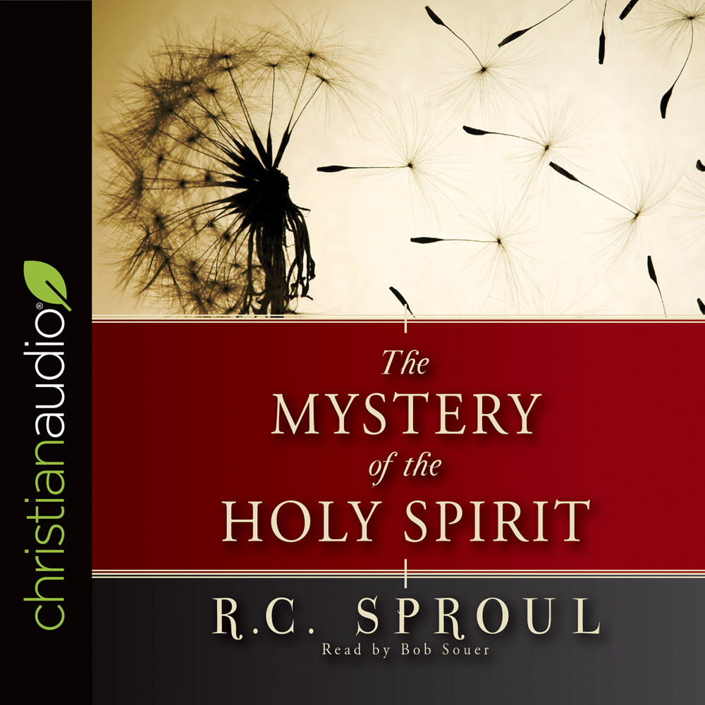 Strange Fire: The Danger of Offending the Holy Spirit with Counterfeit  Worship (audio)