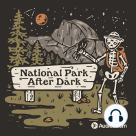 142: Tooth and Claw: Bears in Yellowstone ft. National Park After Dark