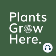 Ep.151 Intro to carnivorous plants - Megan Webb (Carnivorous_Plant_Girl)