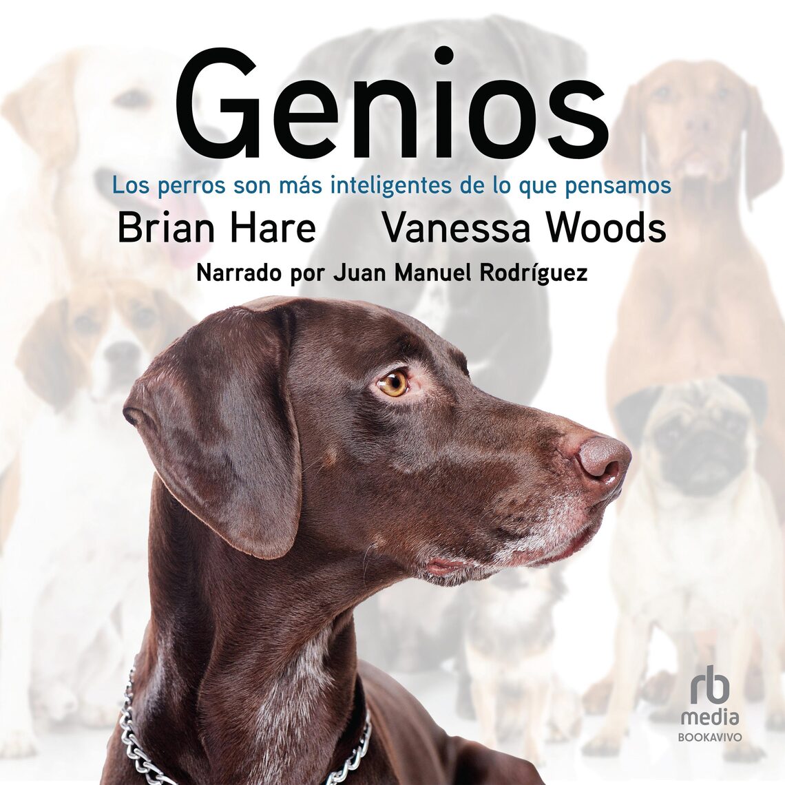 Dognition Testing My Dog's Intelligence Genios By Brian Hare