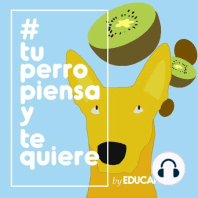 Episodio 4 – TPPyTQ instagrama multicast – ¡Ronda rápida de preguntas y respuestas! 2.0