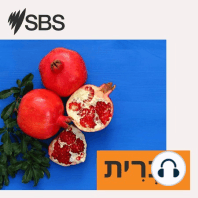 SBS Jerusalem Report in Hebrew with Prof Rafi Mann 18.12.2022