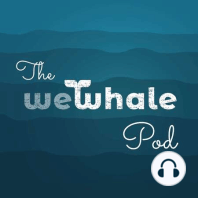 Episode 1 - Harry Eckman, CEO of the World Cetacean Alliance