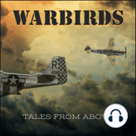 Warbird Movie Reviews - Part 2