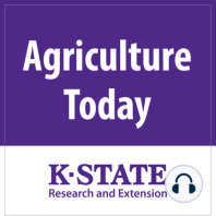 1426 – Grain Market Update: Wheat Shows Some Optimism … A Transition in Hosts for Agriculture Today