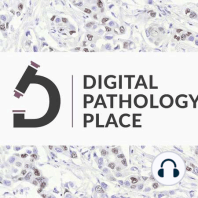 Why and how should pathologists keep up with AI?  w/ David Harrison, University of St. Andrews