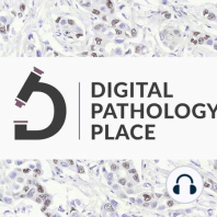 Weakly supervised AI for pathology w/ Geert Litjens, RadboudUMC