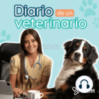 Ep. 15 Porqué los animales odian ir al veterinario y cómo mejorarlo.