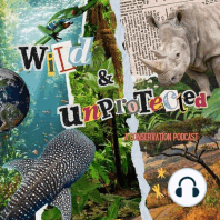 Wild & Unprotected - Trailer