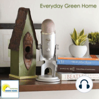 What Is An Everyday Green Home?