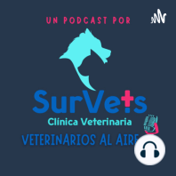 Veterinarios al Aire (Trailer)