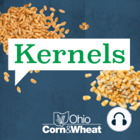 Ep 018: All Wheat, Nothing Corny