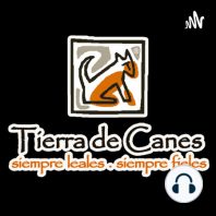 Todo lo que necesito para viajar con mi perro-Episodio-Tierra de Canes