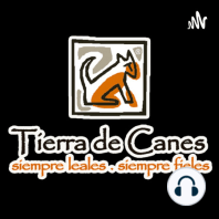 Edzel Álvarez, Campeón Nacional de Disc Dog-Tierra De Canes