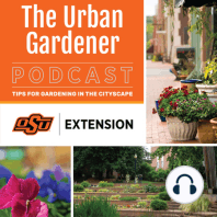 Episode 17: Managing Turfgrass in the Shade in Oklahoma