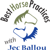Lee McLean on Nurturing Fun, Versatile Horses