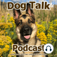 Helping Dogs with Cannabis with Dr. Casara Andre