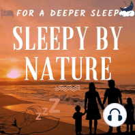 Harmony Serenity ep1 : Symphony of Rainfall & Raindrops | Last Rain before summer | 1 Hour Rainy Night Sounds Sleeping insomnia Relax Study Sound Reduce Stress sleep | nature ambience cool tranquility peaceful mindfulness soothing melodies ambient natural